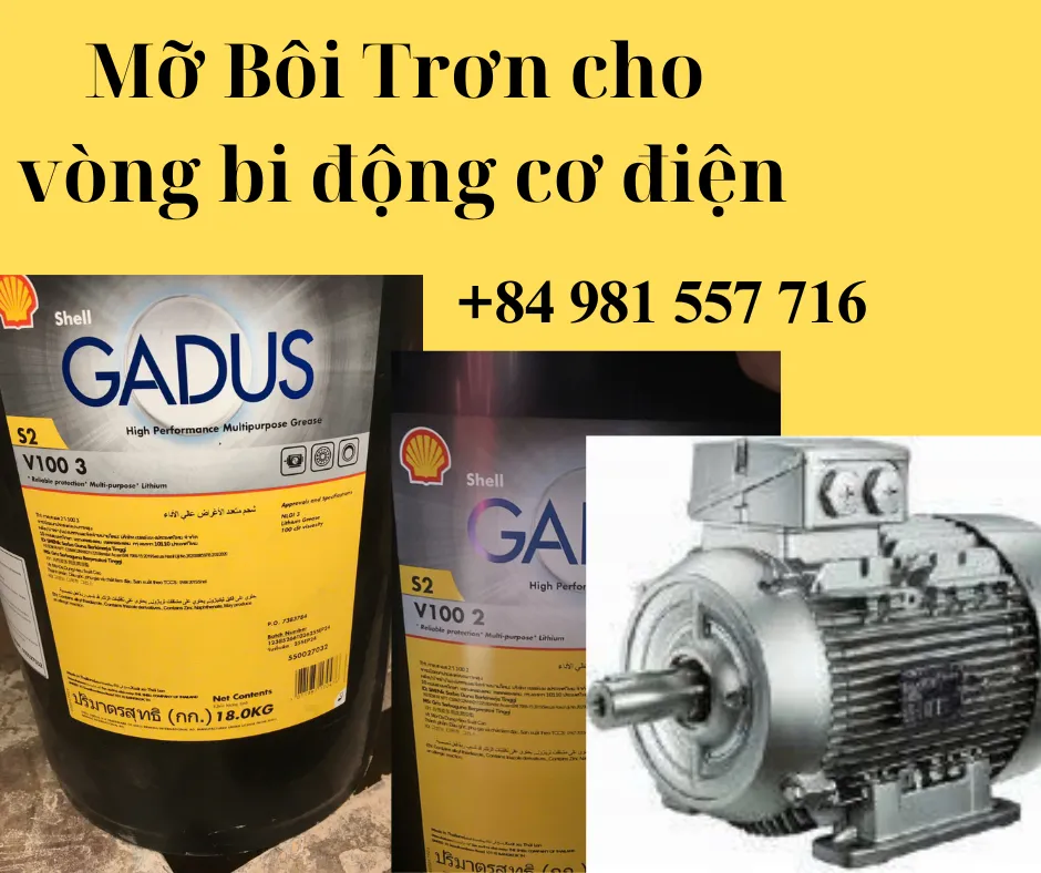 Vòng vi động cơ dùng loại mỡ nào để bôi trơn?